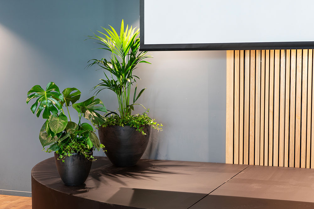 Scenedekorasjoner med grønne planter